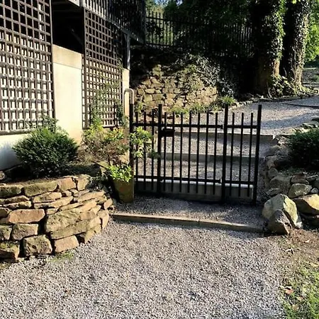 Apartament Historische Oase Garden View Essen Zewnętrze zdjęcie